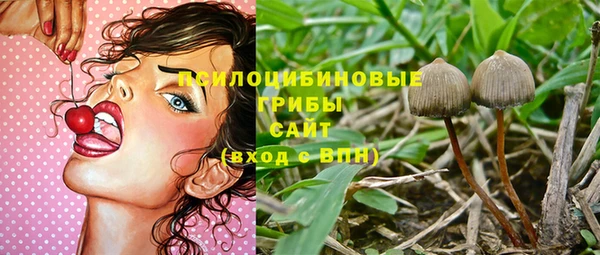 крисы Лиски